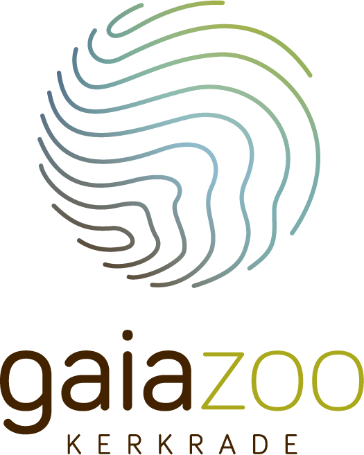 GetLogo.png
